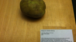 Never Leave Your Potato Unattended at Double Fine, Lest It Become Art
